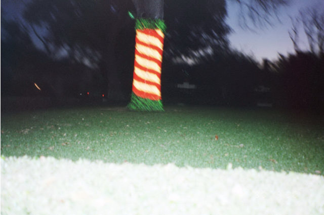 Tree Wrap